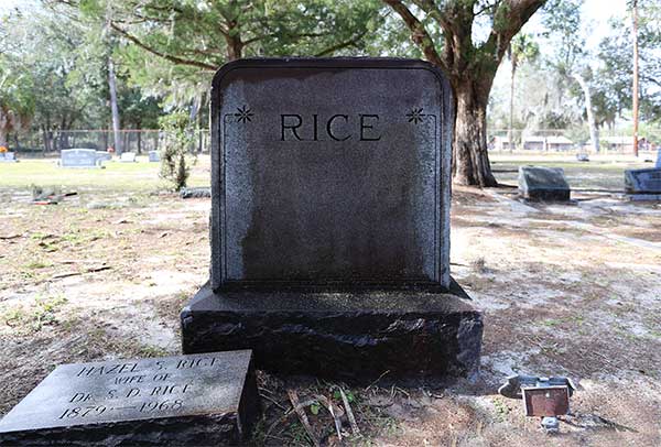  Rice Family Monument Gravestone Photo