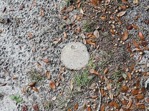  Unknown Gravestone Photo