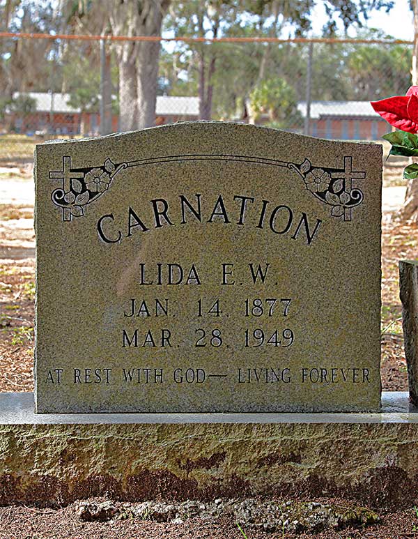 Lida E. W. Carnation Gravestone Photo