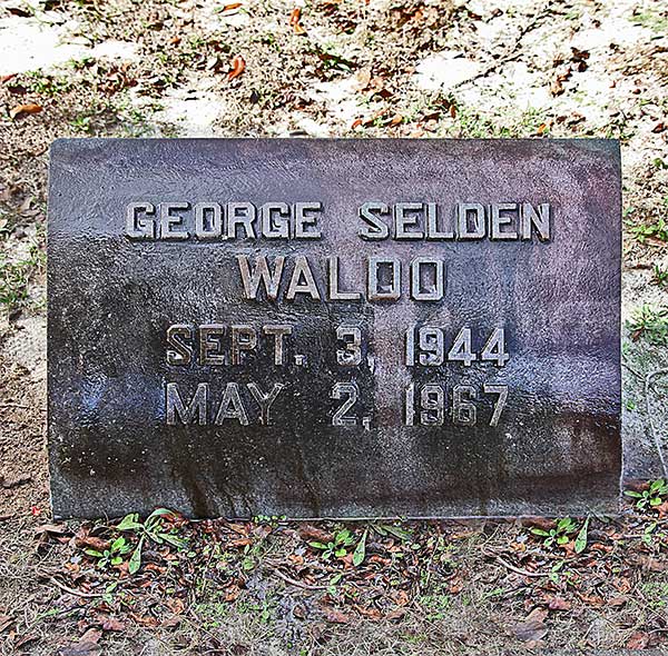 George Selden Waldo Gravestone Photo