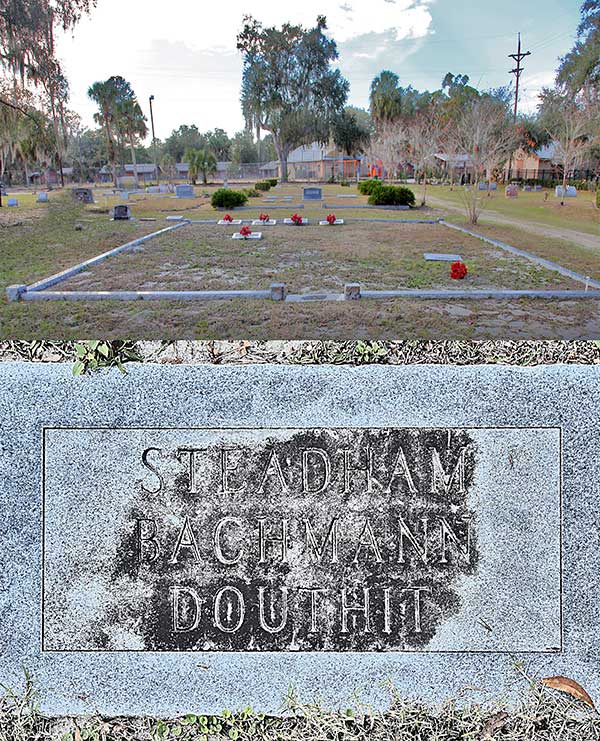  Steadham Bachmann Douthit Family Plot Gravestone Photo