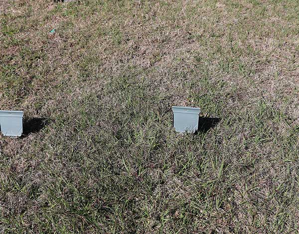 Donald Paul Tucker Gravestone Photo