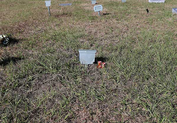 Susan Moore Gravestone Photo