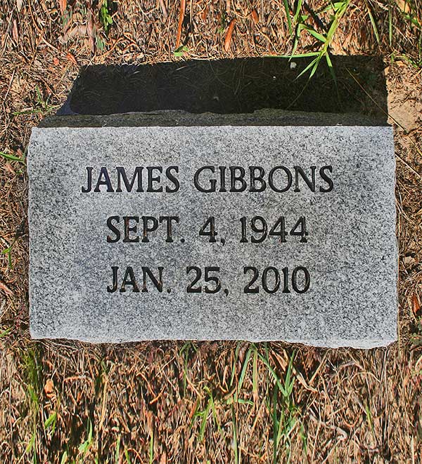 James Gibbons Gravestone Photo