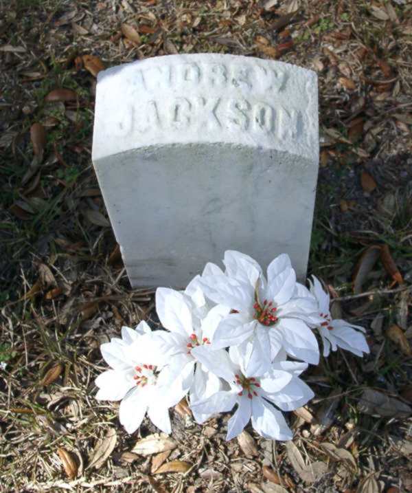 Andrew Jackson Maddox Gravestone Photo