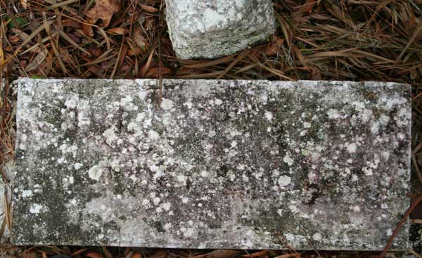  Unknown Gravestone Photo