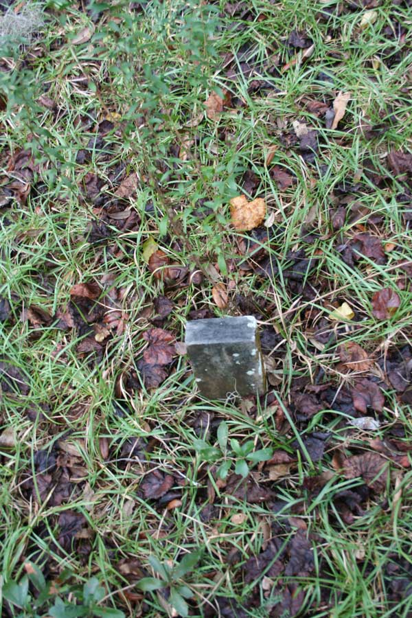  Unknown Gravestone Photo