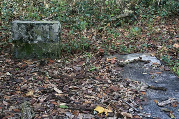  Unknown Gravestone Photo