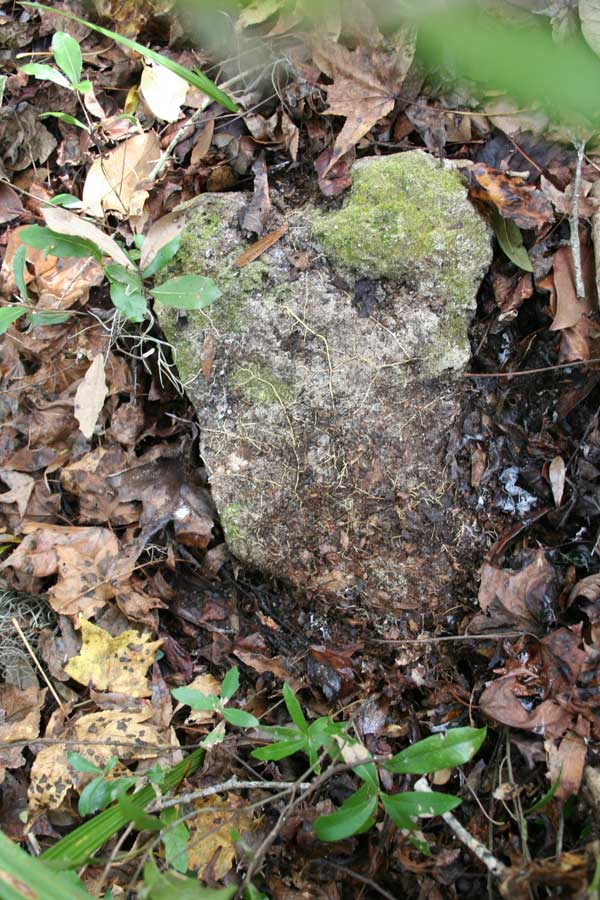  Unknown Gravestone Photo