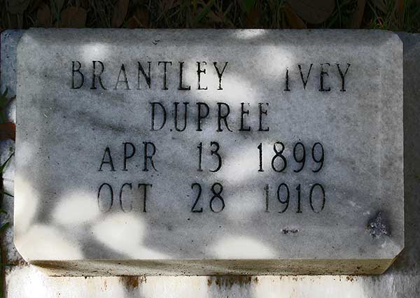 Brantley Ivey Dupree Gravestone Photo
