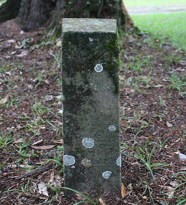  Unknown Gravestone Photo