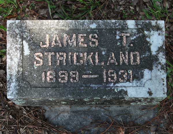 James T. Strickland Gravestone Photo