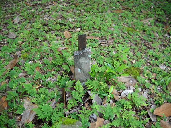  Unknown Gravestone Photo