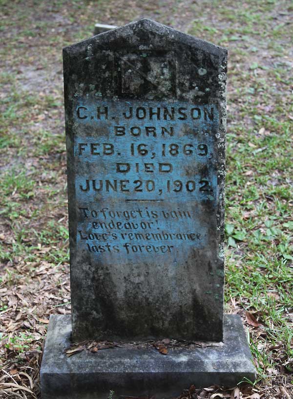 C. H. Johnson Gravestone Photo