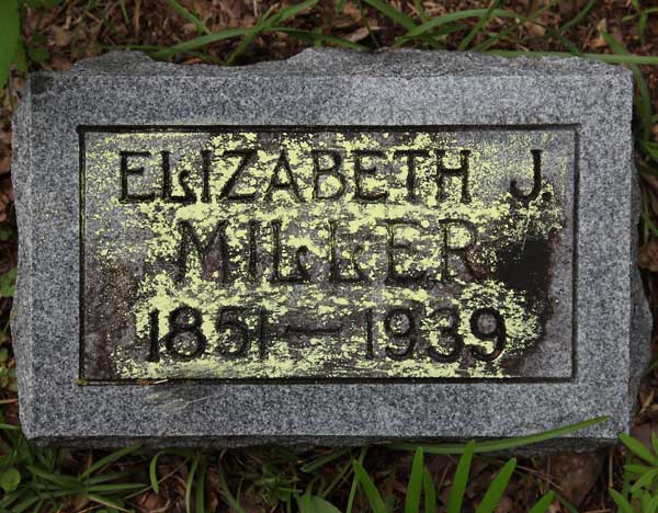 Elizabeth J. Miller Gravestone Photo