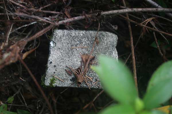  Unknown Gravestone Photo