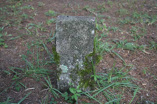  Unknown Gravestone Photo