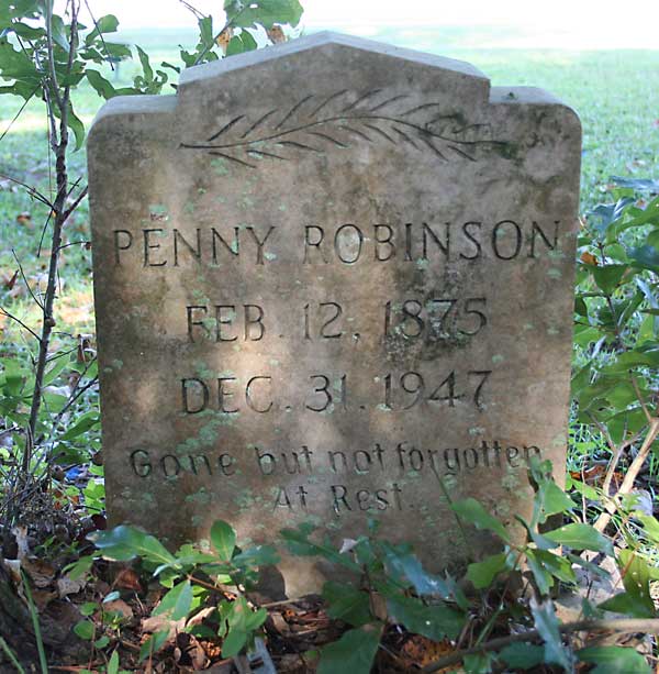Penny Robinson Gravestone Photo