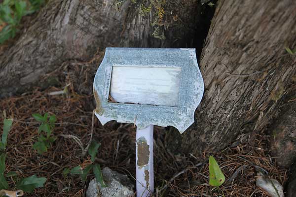  Unknown Gravestone Photo