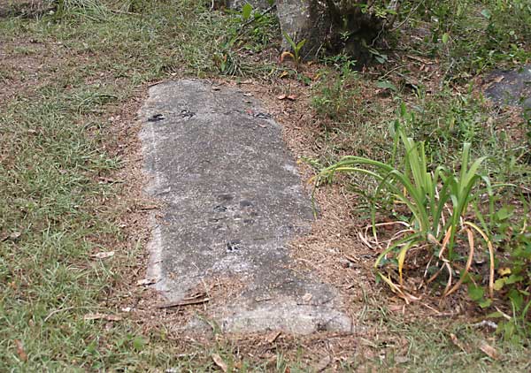  Unknown Gravestone Photo