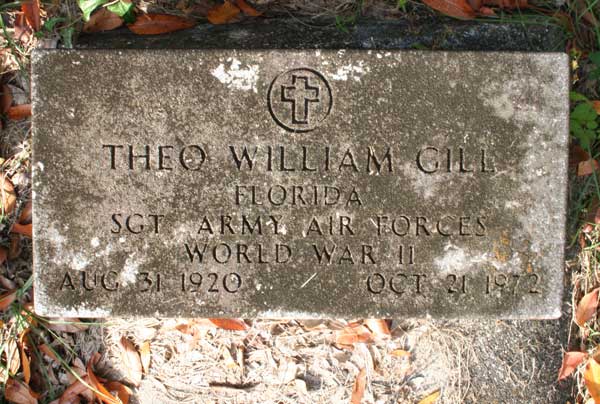 Theo William Gill Gravestone Photo
