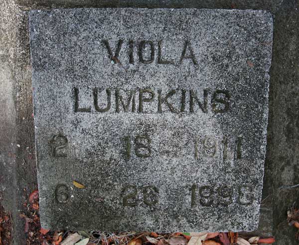 Viola Lumpkins Gravestone Photo