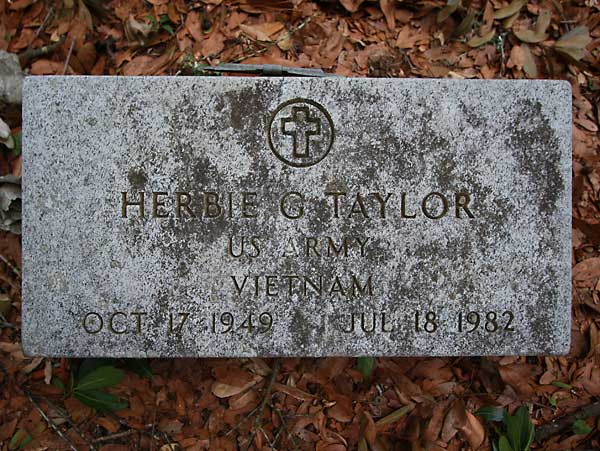 Herbie G. Taylor Gravestone Photo