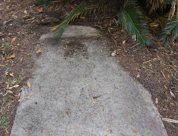  Unknown Gravestone Photo