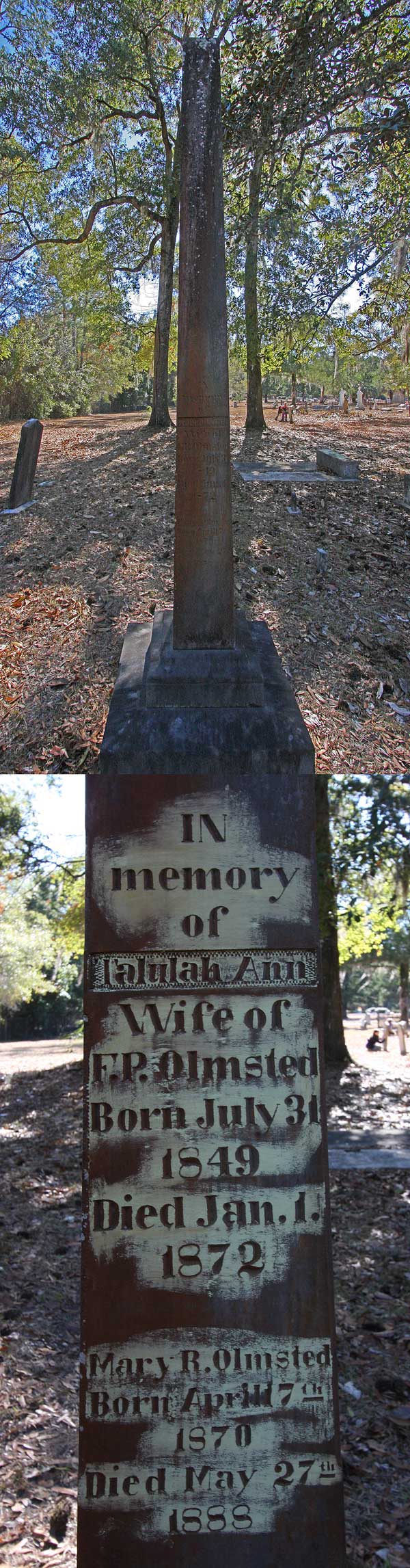 Talulah Ann & Mary R. Olmsted Gravestone Photo