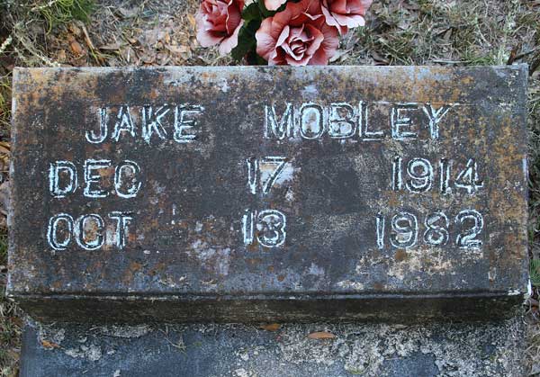 Jake Mobley Gravestone Photo