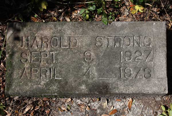 Harold Strong Gravestone Photo