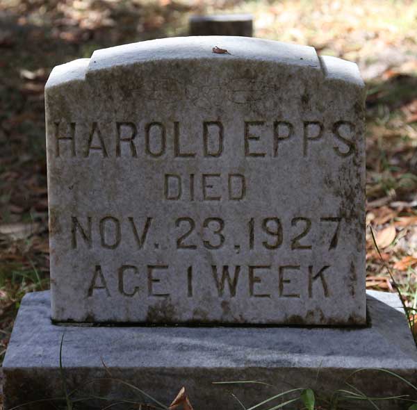 Harold Epps Gravestone Photo