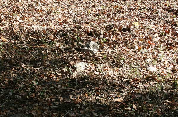  Unknown Gravestone Photo