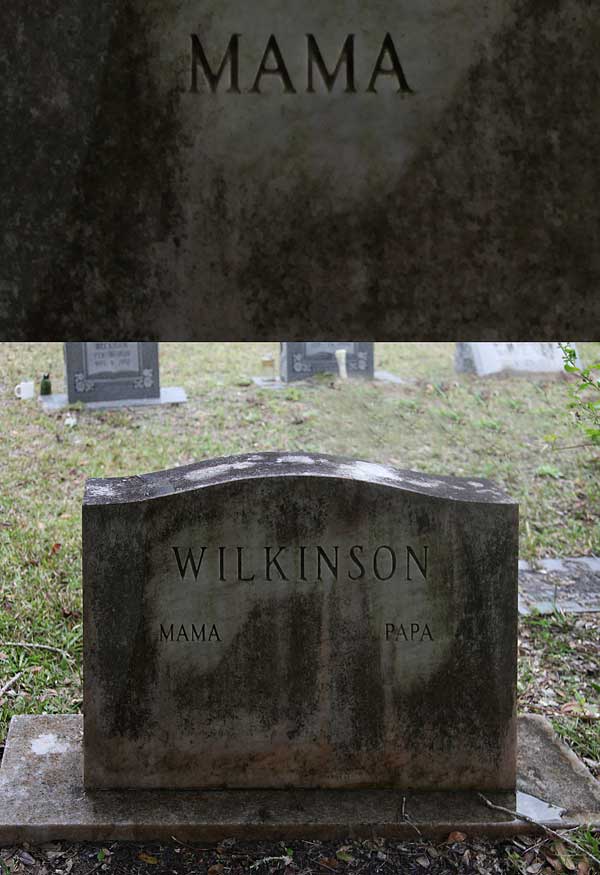  Wilkinson Gravestone Photo