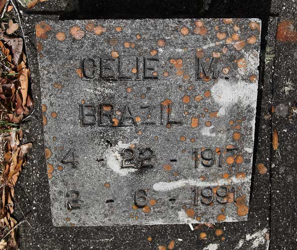 OELIE M. BRAZIL Gravestone Photo