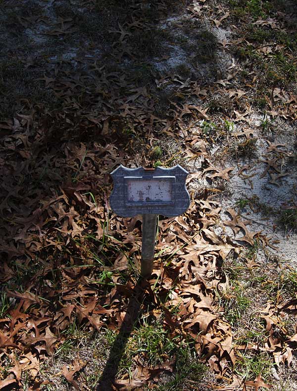  Unknown Gravestone Photo