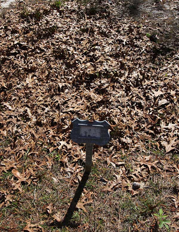  Unknown Gravestone Photo