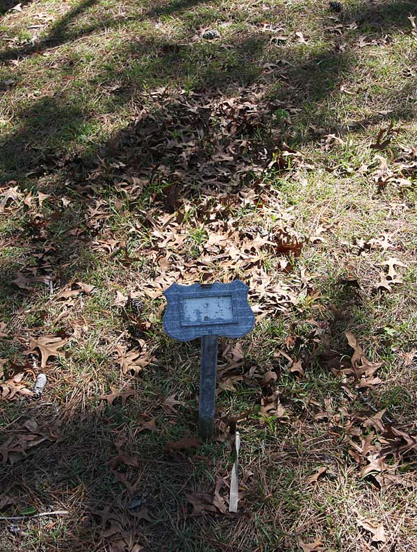  Unknown Gravestone Photo