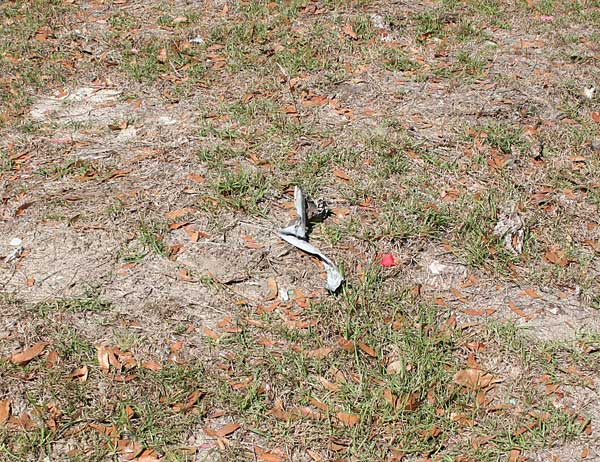  Unknown Gravestone Photo