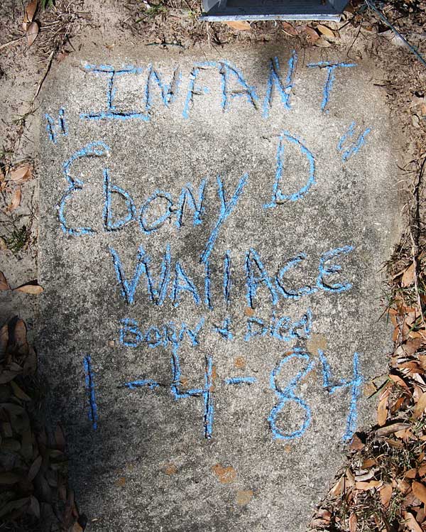 Ebony D. Wallace Gravestone Photo