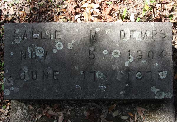 Sallie M. Demps Gravestone Photo