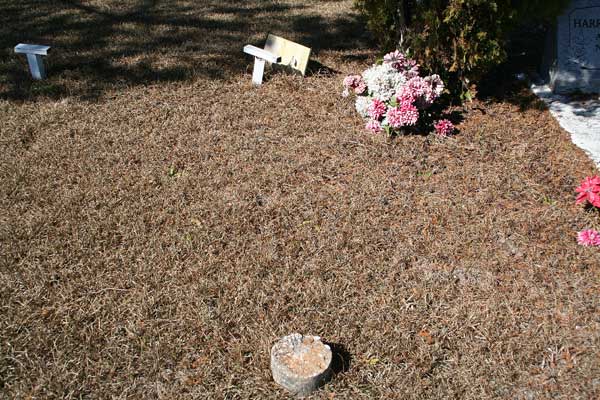  Unknown Gravestone Photo