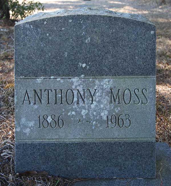 Anthony Moss Gravestone Photo