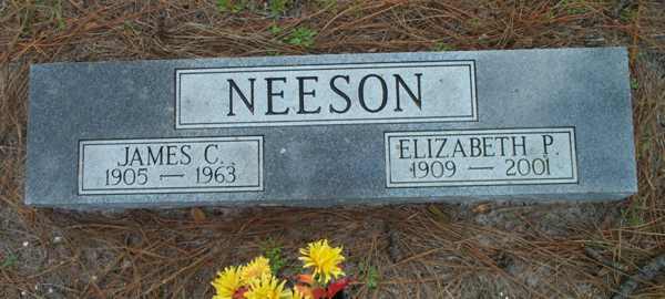James C. & Elizabeth P. Neeson Gravestone Photo