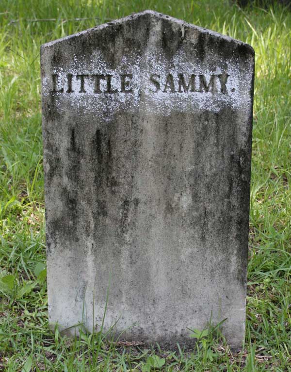 Little Sammy Burts Gravestone Photo